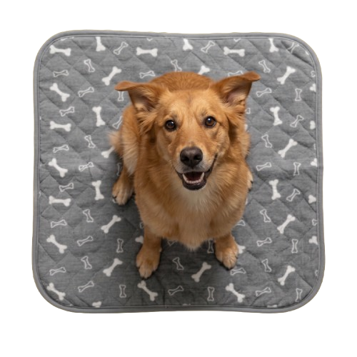 Nutrelie Pup Pad